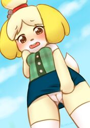 2d animal_crossing anthro blush canine clothes day dog female female_only furry isabelle_(animal_crossing) nintendo office_lady open_eyes outdoors panties pastelletta pussy skirt sky solo standing tagme year_request