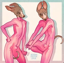 2018 anthro artist_name blue_border blue_text border brown_body brown_ears brown_fur brown_nose brown_tail bulge canid canine canis closed_smile clothed clothed_anthro clothed_male clothing dated dipstick_tail domestic_dog fully_clothed fully_clothed_anthro fully_clothed_male fur gradient_border hi_res humanoid_hands koiranmaitoa latex latex_clothing latex_skinsuit male male_anthro mammal markings mouth_closed multicolored_body multicolored_fur pink_border pink_clothing pink_inner_ear pink_latex pink_suit portrait skinsuit slim_anthro slim_male smile solo suit tail tail_markings tan_body tan_fur tan_sclera tan_snout tan_tail_tip text three-quarter_portrait tight_clothing two_tone_body two_tone_fur two_tone_tail