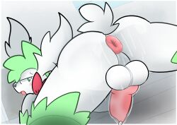 anthro anus ass blush bodily_fluids generation_4_pokemon knot legendary_pokemon male nintendo pokemon pokemon_(species) presenting presenting_anus presenting_hindquarters puffy_anus rear_view shaymin solo sparkmelon sweat sweaty_butt sweaty_legs sweaty_thighs tongue tongue_out