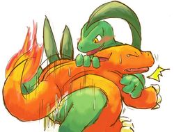 charmeleon color fire grovyle nintendo pokemon tagme tail tail_fire