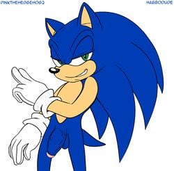 1boy anthro balls black_nose blue_hair blue_penis blue_skin flaccid furry gloves green_eyes habbodude hair happy hedgehog hi_res looking_at_viewer male male_only mammal nude penis pink_penis pink_skin pinkthehedgehog2 plain_background quills raised_arm sega smile solo sonic_(series) sonic_the_hedgehog standing teeth uncut vein white_background