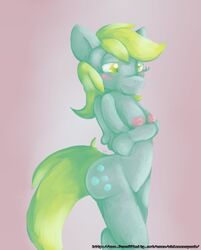 breasts derpy_hooves friendship_is_magic my_little_pony nipples shimmerspark tagme