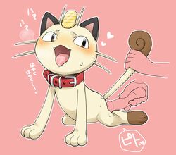 collar komeko-nk meowth pink_background pokemon pokephilia sex_toy text translation_request