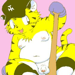 baseball hanshin_tigers male mascot to_lucky