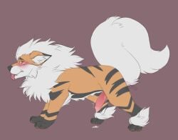 anthro arcanine blush bodily_fluids canid canine embarrassed erection generation_1_pokemon genital_fluids genitals hi_res konoeikreations looking_at_viewer male male_only mammal nintendo penis pokemon pokemon_(species) precum simple_background solo tongue tongue_out