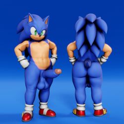 1boy 3d 3d_(artwork) back_view big_penis casual exposed_torso footwear front_view furry gay gloves handwear hedgehog sega shoes sonic_(series) sonic_the_hedgehog sonic_the_hedgehog_(series) vulkyasha