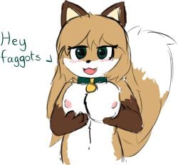 absurd_res animal_humanoid anthro averi_(fiddleafox) blush blush_lines breast_squish breasts canid canid_humanoid canine canine_humanoid collar female fluffy fluffy_hair fluffy_tail fox fox_humanoid fur green_eyes hair hi_res holding_breast homophobia homophobic_slur humanoid lennoxwalexander long_hair mammal mammal_humanoid meme solo squish tail white_body white_fur