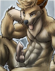 1boy ada_oz anthro balls canine canine_penis erection fur furry male male_only penis solo wolf