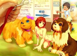 1boy animal aqua_eyes bodysuit bondage breasts brown_eyes canine collar costume female hair_ribbon hands heart leash looking_up nude paws pet_play photoshop pov ribbon sitting slave smile squatting tail tetetor-oort text translation_request