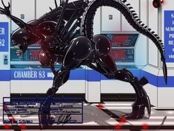 2013 alien alien_(franchise) anus ass big_ass breasts dr_nowak female female_xenomorph huge_ass large_breasts presenting pussy raised_tail xenomorph xenomorph_queen