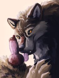 absurd_res animal_genitalia animal_penis bodily_fluids canid canine canine_genitalia canine_penis canis claws cum cum_on_face digital_media_(artwork) duo erection feral fur genital_fluids genitals hi_res knot licking male mammal nude oral paws penile penis penis_lick sex speedpaint speedpainting teeth tongue tongue_out werewolfdegenerate wolf