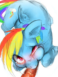 blush equine fellatio friendship_is_magic horse my_little_pony nabesiki oral penis pony rainbow_dash_(mlp) straight_hair tear