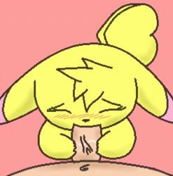 animated cute fellatio female feral human male milachu milachu92 nintendo oral oral_sex pikachu pokemon pokephilia saliva sex sucking suckling video_games