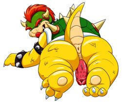 3_toes alpha_channel anus ass barefoot bowser claws collar darthglacier dragon erection green_shell hair hi_res horn horns king koopa lizard lying male male_only mario_(series) mohawk nintendo nude on_front open_mouth penis plain_background presenting presenting_hindquarters red_hair red_penis reptile royalty scalie shadow sharp_teeth shell shiny short_hair skin solo spikes spiky_shell teeth transparent_background turtle vein video_games wristband yellow_skin