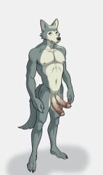 1boy beastars canine diphallism erection ffog furry humanoid_penis legoshi_(beastars) tagme