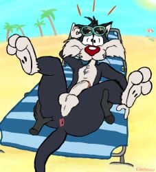 2024 anthro anus ass balls beach beach_chair beach_umbrella black_body black_fur butt_grab cintoon digital_media_(artwork) disembodied_hand domestic_cat embarrassed eyewear eyewear_on_head felid feline felis fur genitals grope half-erect hand_on_butt hi_res looney_tunes lying male male_focus mammal nude on_back parasol paws penis red_nose simple_background solo spread_butt spreading sunglasses surprise sylvester sylvester_(looney_tunes) warner_brothers