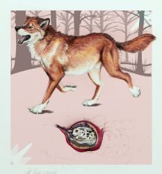 alekthebeasty amber_eyes ambiguous_gender animal_genitalia black_gums black_nose black_pawpads black_spots bodily_fluids brown_body brown_fur canid canine canis carpal_pad claws curled_up cutaway digestion digestion_noises digitigrade duo esophageal_sphincter fangs feral feral_pred feral_prey forest fur genitals gloves_(marking) groan gums_(mouth) head_markings hi_res inner_ear_fluff inside_stomach internal lagomorph larger_pred leporid macro male mammal markings micro motion_lines multicolored_body multicolored_fur open_mouth oral_vore organs partially_submerged pawpads paws pink_nose plant quadruped rabbit sheath simple_background size_difference slosh spots spotted_body spotted_fur stomach stomach_acid tail tail_markings teeth tree tuft vore walking wet white_body white_claws white_fur white_paws wolf