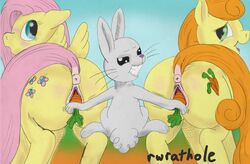 2012 angel_(mlp) anus blush carrot carrot_top_(mlp) cutie_mark english_text equine female feral fluttershy_(mlp) friendship_is_magic green_eyes grey_fur group hair horse improvised_dildo insertion lagomorph looking_at_viewer male my_little_pony nezudomo open_mouth orange_hair pegasus penetration pink_hair pony pussy rabbit straight text vaginal_insertion vaginal_penetration wings yellow_fur