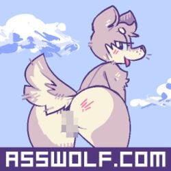 advertisement animated anthro ass blush canine censored female fur furry oriole_(artist) presenting tongue wolf