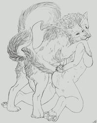 anatomically_correct anthro anthro_on_feral breasts canine crimsondragoon12 doggy_style feral foxcat from_behind interspecies krimzen kyros sex sideboob wolf xredwing zoophilia