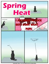 absurd_res animal_genitalia animal_pussy black_body black_fur canid canine canine_genitalia canine_pussy canis comic countershade_fur countershade_tail countershading domestic_dog english_text female feral fur genitals hi_res husky mammal nordic_sled_dog pussy shelby_(sketchy_shelby) sketchy_shelby solo spitz tail tail_motion tailwag text