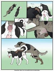 absurd_res animal_genitalia animal_penis animal_pussy anus balls black_body black_fur bodily_fluids canid canine canine_genitalia canine_penis canine_pussy canis comic countershade_fur countershade_tail countershading cunnilingus domestic_dog duo english_text female feral feral_on_feral floppy_ears fur genital_fluids genitals hi_res husky intraspecies logan_(sketchy_shelby) male male/female mammal nordic_sled_dog oral penis precum pussy quadruped sex sheath shelby_(sketchy_shelby) sketchy_shelby sniffing spitz tail text tongue tongue_out vaginal_penetration
