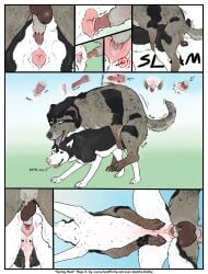 absurd_res animal_genitalia animal_penis animal_pussy backsack balls black_body black_fur canid canine canine_genitalia canine_penis canine_pussy canis comic countershade_fur countershade_tail countershading domestic_dog duo erection female female_penetrated feral feral_on_feral feral_penetrated feral_penetrating feral_penetrating_feral floppy_ears fur genitals hi_res husky intraspecies knot knotting logan_(sketchy_shelby) male male/female male_penetrating male_penetrating_female mammal nordic_sled_dog penetration penile penile_penetration penis penis_in_pussy pussy quadruped sex sheath shelby_(sketchy_shelby) sketchy_shelby spitz tail tongue tongue_out vaginal_knotting vaginal_penetration vaginal_penetration