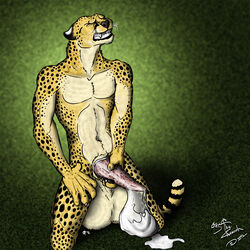 2012 anthro balls barbs big_balls big_penis broken_condom cheetah closed_eyes condom cryme_the_cheetah feline feline_penis filled_condom fur furry grin hyper hyper_balls jasiri kneeling male male_only masturbation messy nude orthan penis realistic shaded solo spots toony white_fur yellow_fur