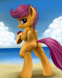 2013 beach equine female feral friendship_is_magic hair horse my_little_pony pegasus pegsus pony pony-fuhrer pussy scootaloo_(mlp) seaside wings