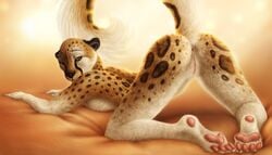 anthro anus ass_up cheetah feline female furry inviting jocarra looking_at_viewer nude presenting pussy raised_tail solo