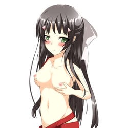 black_hair blush breasts green_eyes hair kono_naka_ni_hitori_imouto_ga_iru! large_breasts long_hair navel nipples tsuruma_konoe