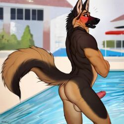 2024 ai_generated anthro ass balls canid canine carnivalecloudmuncher domestic_dog embarrassed embarrassed_nude_male enm exhibitionism furry german_shepherd looking_at_viewer male male_only mammal nude original_artwork outdoors penis pool poolside public public_nudity rear_view self_upload solo solo_male standing swimming_pool tagme tail