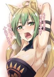 1girls animal_ears armpit_fetish armpits arms_behind_head arms_up atalanta_(fate) blonde_hair blush embarrassed fate/apocrypha fate/grand_order fate_(series) female green_eyes green_hair hiruno kemonomimi lion_ears lion_girl looking_at_viewer medium_breasts open_mouth side_view sideboob sidelocks solo sweat sweaty_armpits tears two-tone_hair