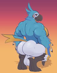 2023 anthro ass avian back_muscles backsack balls beak big_balls big_butt big_muscles bird breath_of_the_wild crouching feathers feet genitals gradient_background hi_res huge_balls kass_(tloz) kass_(zelda) looking_at_viewer looking_back looking_back_at_viewer male male_only muscular muscular_anthro muscular_male nintendo nipples non-mammal_balls non-mammal_nipples nude orange_background pecs red_background redeyedgazer rito saggy_balls shadow simple_background smile solo talons the_legend_of_zelda thick_thighs toes triceps tuft