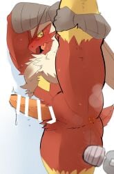 1boy anthro balls bara barazoku blaziken blush boner erection furry gay hyaku_(artist) legs_apart male male_only muscles muscular nintendo nude penis pokemon pokemon_(species) solo solo_male spread_legs stretching