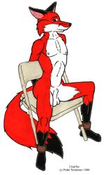 1990s 1996 20th_century animal_genitalia anthro bound bound_ankles bound_arms bound_to_chair chair fox furry male nipples sheath sitting sitting_on_chair testicles whitefire