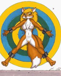 anthro blonde_hair bondage bound bounder_fox breasts canine chest_tuft female fox fur furry hair looking_at_viewer navel nipples orange_fur pussy spreading target tom_bates white_belly white_fur