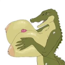 2d alligator alligatorid animated anthro crocodile crocodilian female low_res monster_girl paizuri paizuri_lead_by_female realius reptile scalie sound tagme titjob video