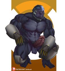 anthro balls bara barazoku boner erection furry gorilla joelbearb male male_only muscles muscular nude overwatch penis precum solo solo_male squatting winston_(overwatch)