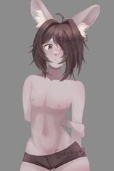 bunny femboy femboy_furry fembunns furry furry_male rabbit