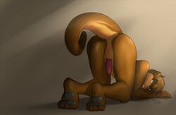 anus ass balls blue_eyes brown_background male male_only mustelid nude otter paws penis presenting presenting_hindquarters smile solo zeiro