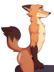 2024 3:4 anthro arched_back ass canid canine claws disney eyebrows fox fur hi_res jrjresq male male_focus male_only mammal muscular muscular_anthro muscular_male narrowed_eyes nick_wilde nipples nude red_fox side_view simple_background smile solo thick_thighs true_fox tuft white_background zootopia