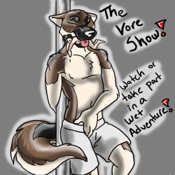 anthro canine consensual german_shepherd human poster soft vore vore_show