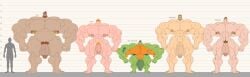 balls bara beard big_muscles crossover duolingo eddy_(duolingo) facial_hair flaccid glitch_techs gravity_falls height_chart human jack_ransom jeff_trigger male male_only mr._piranha_(the_bad_guys) muscles muscular nude penis phil_altiere remert star_trek star_trek_lower_decks the_bad_guys