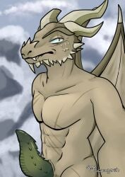 acuagosh anthro bethesda_softworks dragon genitals hi_res male male_focus male_only microsoft mythological_creature mythological_scalie mythology paarthurnax penis scalie skyrim solo the_elder_scrolls