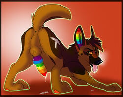 anthro balls canine cum erection feral furry male male_only no_humans penis pure-ruby-dragon rainbow rainbow_markings rainbow_penis solo travesty_(character)