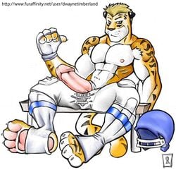 anthro dwayne_timberland erection furry male male_only muscles nightcat no_humans penis solo