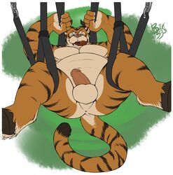 2013 anthro anus ass balls bass_(artist) bovine cattle chubby erection feline furry hooves horn humanoid_penis hybrid licking licking_lips looking_at_viewer male male_only musclegut no_humans penis sex_swing solo spread_legs spreading suspension swing tiger tongue werelion2003