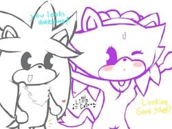 blaze_the_cat blush breasts feline female grey_fur hair little_cartoon male nipples nude open_mouth pussy silver_the_hedgehog sonic_(series)