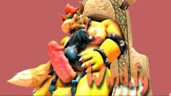 anthro big_penis bowser canid canine cock_ring cowgirl_position dominant duo female fox fox_mccloud from_front_position genitals male male/female mammal mario_(series) metroid nintendo on_bottom on_top paws penis samus_aran sex size_difference star_fox wind.fy